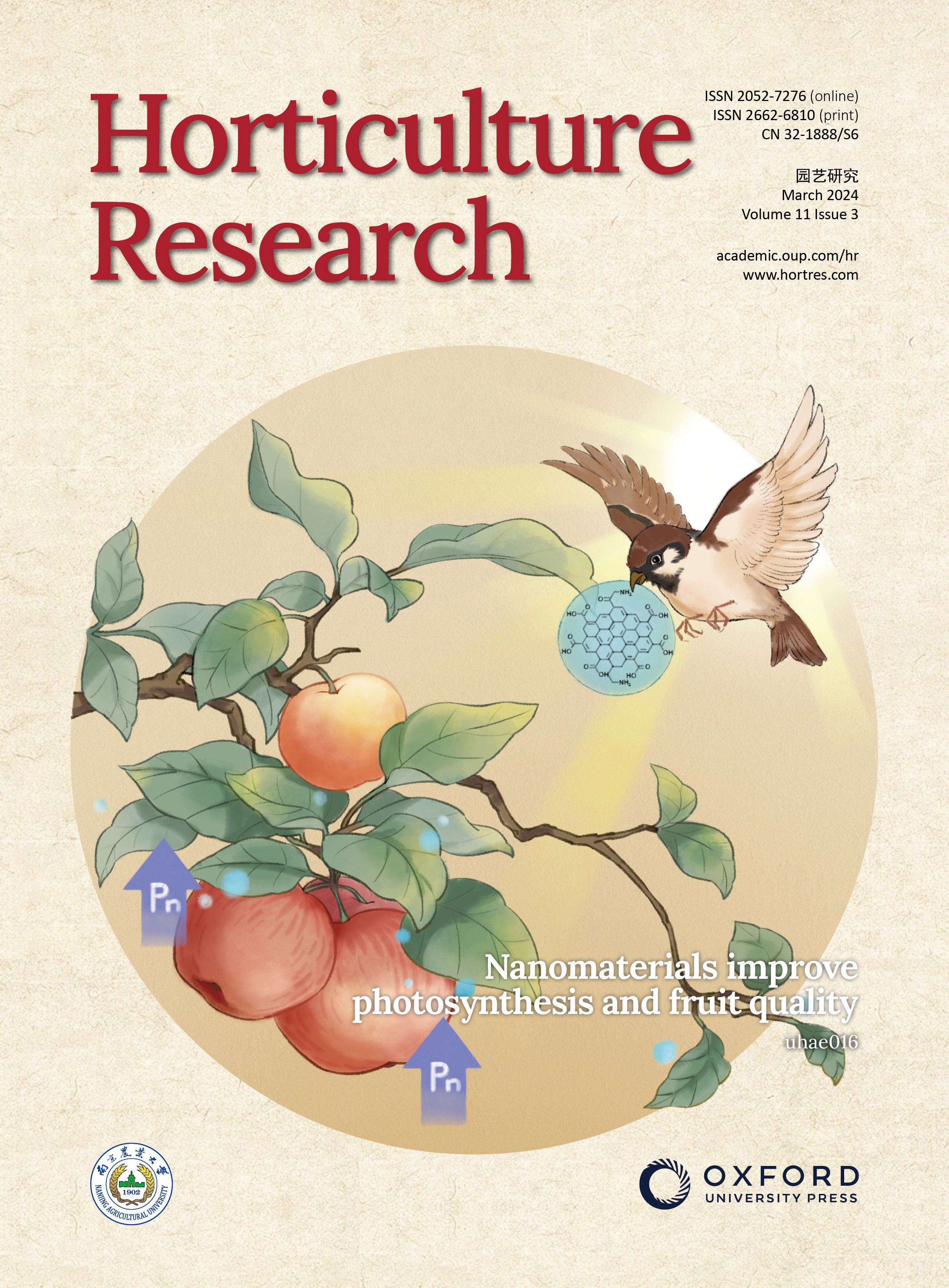 issue cover