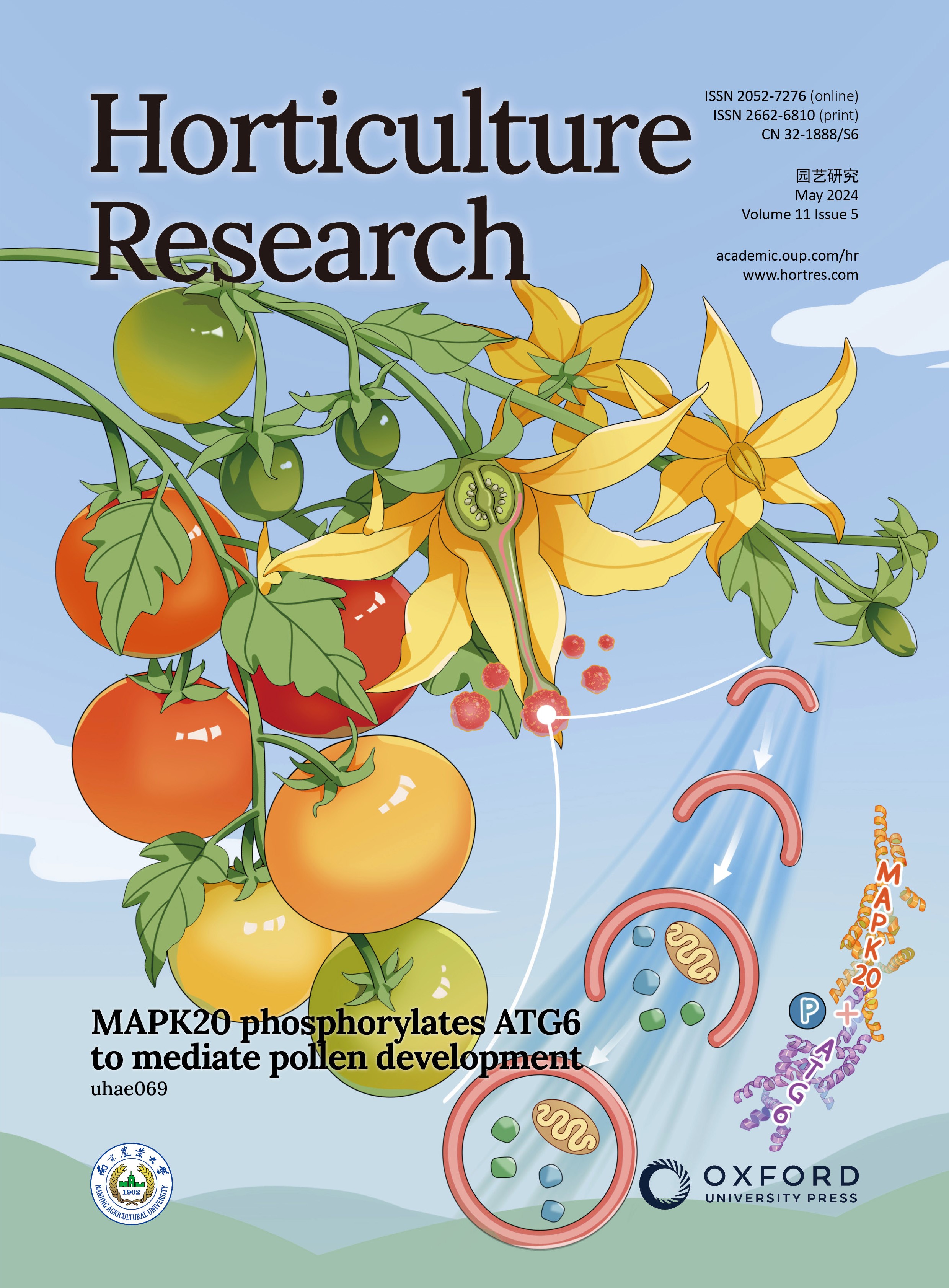 issue cover