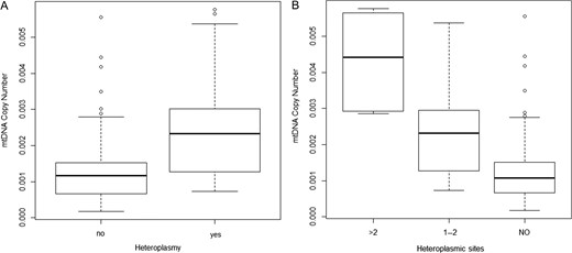 Association between mtDNA copy number and the presence of heteroplasmy and number of heteroplasmic sites.