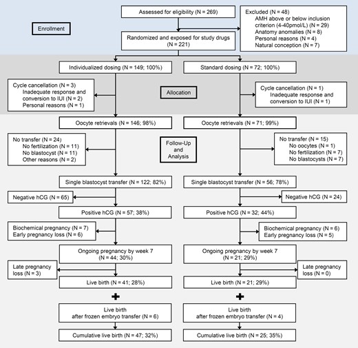 Patient flow and outcome during the study of AMH-based individualized FSH dosing in a GnRH antagonist protocol, from assessment of eligibility to cumulative live birth rate. AMH, anti-Müllerian hormone.