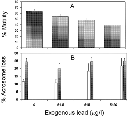 Figure 1. Motile sperm populations from known fertile donors were divided and incubated overnight in media supplemented with increasing doses of lead. Data were analysed using a repeated measures analysis of variance model. (A) When compared with lead unexposed control aliquots, lead treatment results in a dose‐dependent inhibition of sperm motility (n = 7, P < 0.003). (B) Lead also affected the acrosome reaction (n = 9); the open bars represent values for spontaneous acrosome loss while the closed bars represent those following mannose treatment. In the absence of lead, mannose treatment increased the percentages of sperm undergoing acrosome breakdown (P < 0.02). In contrast, lead exposure caused a dose‐dependent increase in the spontaneous acrosome reaction (P < 0.04) with a concomitant dose‐dependent inhibition of the induced acrosome reaction (P < 0.0008).