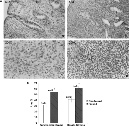 (A) Stromal histomorphology of peri-implantation phase endometria from non-fecund (a and c) and fecund (b and d) bonnet monkeys. Note the compaction in the stromal compartment in the endometria from fecund animals. (B) Semi-quantitative comparison of nuclear staining in the stromal compartment of endometria from fecund and non-fecund animals.