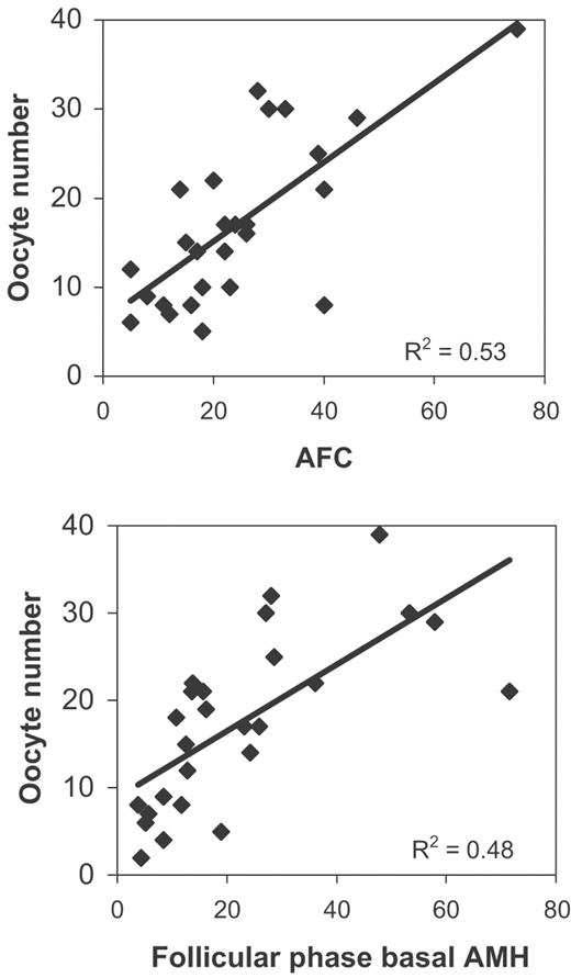 Correlation between oocyte number and AFC and AMH in early follicular phase.