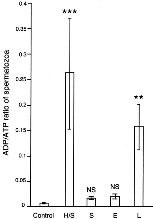 ADP:ATP ratios of sperm when exposed to the following over a 6 h incubation period: Control (no addition), H/S (heat-shock), S (staurosporine, 1 mmol/l), E [C. trachomatis serovar E lipopolysaccharide (LPS), 0.1 μg/ml], L (C. trachomatis serovar LGV 1 LPS, 0.1 μg/ml). Data shown are the mean±SEM of incubations with sperm preparations from six patients. NS=non-significant; **P<0.01; ***P<0.001.