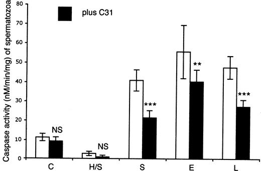 Caspase activity of sperm in the presence and absence of C3I (caspase-3 inhibitor) when exposed to the following over a 6 h incubation period: Control (no addition), H/S (heat-shock), S (staurosporine, 1 mmol/l), E [C. trachomatis serovar E lipopolysaccharide (LPS), 0.1 μg/ml], L (C. trachomatis serovar LGV1 LPS, 0.1 μg/ml). Data shown are the mean±SEM of incubations with sperm preparations from six patients. NS=non-significant; **P<0.01; ***P<0.001.