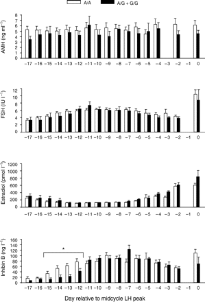 Serum levels of AMH, FSH, E2 and inhibin B during the menstrual cycle referenced to the day of the LH surge (0) in non-carriers (n = 15) and carriers (n = 6) of the AMHR2 −482G allele in the German cohort. Data represent the mean ± SEM; *significantly different between carriers and non-carriers, P ≤ 0.05.