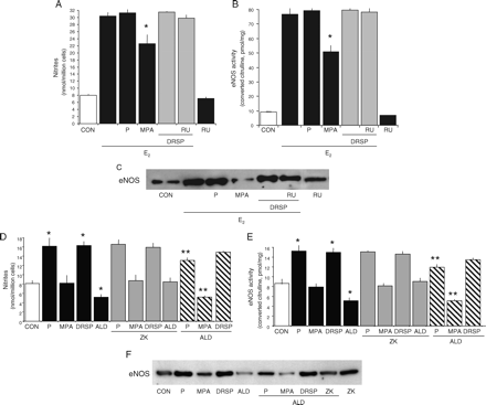 Regulation of eNOS by DRSP in presence of E2 or aldosterone Steroid-deprived HUVECs were treated with 17β-E2 (10−8 M) for 48 h, either alone or in presence of DRSP (10−7 M), P (10−7 M), MPA (10−7 M) or RU486 (RU, 10−5 M). Alternatively, HUVECs were treated for 48 h with DRSP (10−7 M), P (10−7 M), MPA (10−7 M), aldosterone (ALD, 10−10 M) alone or in the presence of the MR antagonist ZK 91587 (ZK, 10−8 M). (A, D) NO synthesis by endothelial cells, (B, E) eNOS activity in whole cell extracts, (C, F) eNOS protein amounts in endothelial cells. (A, B) *P < 0.01 versus E2 alone. (D, E) *P < 0.01 versus control. **P < 0.01 respect to the corresponding compound in the absence of aldosterone