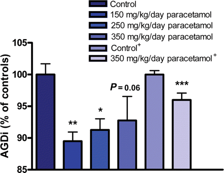 Intrauterine exposure from GD13 to 21 to paracetamol in rats led to a reduction in the testosterone-dependent AGD of male offspring. Results from initial experiment performed with four to five litters per dose group and the verifying experiment (+) performed with six litters per dose group. ***P < 0.001, **P < 0.01, *P < 0.05. P-values are from ANOVA followed by Dunnett's post hoc test with litter as the statistical unit and included as a random factor in a mixed model. There is no significant difference between treated groups. Data represent the mean ± SEM.
