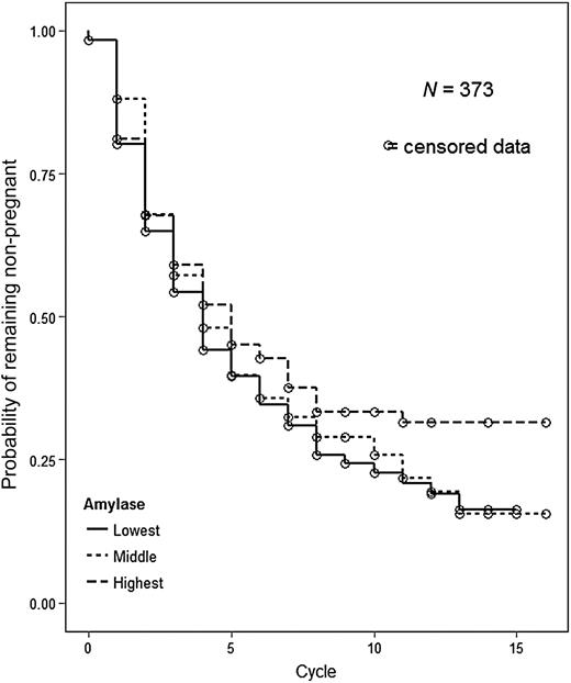 Adjusted* probability of remaining not pregnant by tertile of salivary alpha-amylase.*Adjusted for age of female, difference in age between male and female, income of female (dichotomized), race of female (dichotomized), female's cigarette use, female's caffeine use, and female's alcohol use.