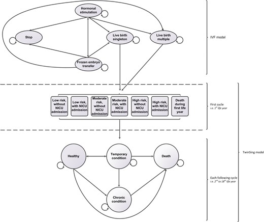 Diagrammatical representation of the linked Markov model structure. NICU, neonatal intensive care unit.