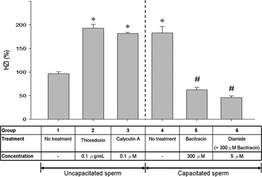 Comparison of HZI of spermatozoa incubated in the presence or absence of different thiol-disulphide modulating reagents. Bars represent the mean ± SEM of the results of 10 hemizona assays. Bars represent the mean ± SEM of the results of five HZA using five ZP and five different spermatozoa samples (N = 5). *P < 0.05 when compared with the uncapacitated control (Group 1). #P < 0.05 when compared with the capacitated control (Group 4). HZI, hemizona-binding index; HZA, hemizona-binding assay.