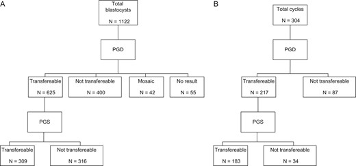 (A) Schematic representation of blastocyst distribution according to the genetic outcome after PGD and PGS analysis. (B) Schematic representation of the distribution of the cycles with and without transferable blastocysts available for transfer after PGD and PGS; PGD: preimplantation genetic diagnosis; PGS: preimplantation genetic screening.