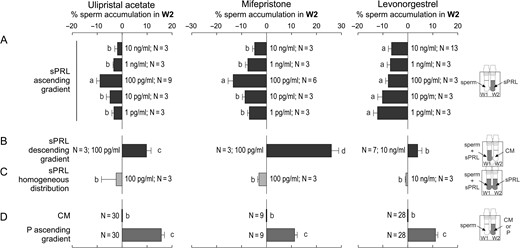 Spermatozoa elicit chemorepulsive behaviour. Spermatozoa previously incubated under capacitating conditions were used to run the Sperm Selection Assay (SSA) under different experimental settings, and then the percentage of spermatozoa recovered from W2 was determined. (A) Spermatozoa were placed in W1 of the SSA chamber while different concentrations of synthetic Progesterone Receptor Ligands (sPRL) were placed in W2, generating an ascending gradient. The following experiments were performed with the sPRL concentration that showed the highest negative response. (B) Spermatozoa were placed in W1 together with the sPRL generating a descending gradient. (C) Spermatozoa were placed in W1 and the sPRL were homogeneously distributed along the SSA device. (D) Control treatments: spermatozoa were placed in W1 and culture medium (CM) or 10 pM of progesterone (P) were placed in W2. Data are expressed as mean ± SEM and the number of independent experiments (N) is shown for each treatment. Different letters (a, b, c) indicate significant differences between treatments, P < 0.05.