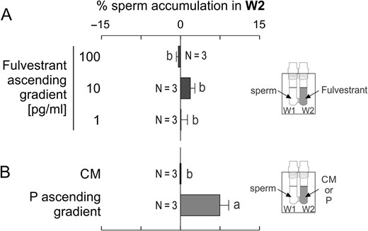 Fulvestrant, a steroid that antagonizes the estrogen receptor, did not repel spermatozoa. Spermatozoa previously incubated under capacitating conditions were placed in W1 under different experimental settings, and then the percentage of spermatozoa recovered from W2 was determined. (A) an ascending gradient generated by different concentrations of Fulvestrant. (B) Control treatments: culture medium (CM) or an ascending gradient of 10 pM of progesterone (P). Data are expressed as mean ± SEM and the number of independent experiments (N) is shown for each treatment. Different letters (a, b) indicate significant differences between treatments, P < 0.05.