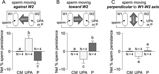 Sperm chemorepulsion verified by video-microscopy and computer motion analysis. Experiments were performed in a chemoattraction chamber (Fabro et al., 2002) where spermatozoa previously incubated under capacitating conditions were loaded in W1 and 100 pg/ml of ulipristal acetate (UPA) or 10 pM progesterone (P) were placed in W2, which formed an ascending gradient between both wells. Net percentage of sperm persistence was determined in three directions: cells moving against W2 (A), cells moving towards W2 (B), and cells moving perpendicular to the W1–W2 axis (C). Data are expressed as mean ± SEM and the number of independent experiments (N) is shown for each treatment. Different letters (a, b, c) indicate significant differences between treatments, P < 0.05.