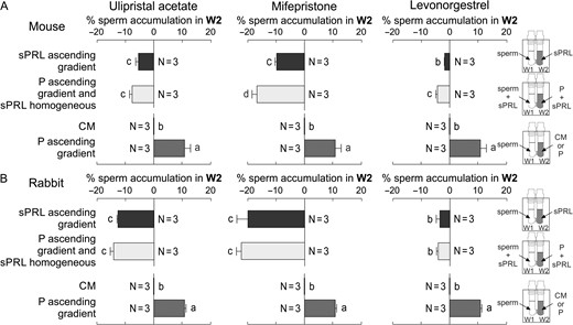 Sperm chemorepulsion is apparently conserved in mammals. Mouse (A) and rabbit (B) spermatozoa previously incubated under capacitating conditions were placed in W1 and treated as follows: an ascending gradient of the synthetic Progesterone Receptor Ligands (sPRL; 100 pg/ml); a homogeneous distribution of sPRL (100 pg/ml) combined with an ascending gradient of 10 pM of progesterone (P); culture medium (CM) or 10 pM P were placed in W2 as controls. Data are expressed as mean ± SEM and the number of independent experiments (N) is shown for each treatment. Different letters (a, b,c) indicate significant differences between treatments for each sPRL and species, P < 0.05.