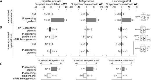 Spermatozoa already prepared to fertilize the oocyte are chemorepelled by sPRL. (A) Spermatozoa previously incubated under capacitating conditions were placed in W1, and culture medium (CM) or 10 pM of progesterone (P) were loaded in W2, determining the percentage of spermatozoa recovered from W2. (B) After seminal plasma removal (non-capacitating conditions), spermatozoa were placed in W1 combined with the following treatments: CM in W2; an ascending gradient of P; an ascending gradient of synthetic Progesterone Receptor Ligands (sPRL); a homogeneous distribution of sPRL combined with an ascending gradient of P. In all conditions, the percentage of spermatozoa in W2 was determined after the SSA. (C) Spermatozoa previously incubated under capacitating conditions were placed in W1 in combination with the following treatments: an ascending gradient of P alone or together with a homogeneous distribution of sPRL. Then, the percentage of induced acrosome-reacted spermatozoa (AR; as an indication of capacitated spermatozoa) was determined in W2. The experiments were performed with the sPRL concentration that showed the highest negative response in (A). Data are expressed as mean ± SEM and the number of independent experiments (N) is shown for each treatment. Different letters (a, b) indicate significant differences between treatments for each sPRL, P < 0.05.