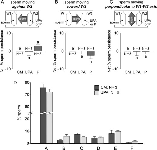 Sperm persistence against UPA and the corresponding repulsive pattern of movement are abolished with non-capacitated spermatozoa. Experiments were performed in a chemoattraction chamber (Fabro et al., 2002) with spermatozoa after removing the seminal plasma which were loaded in W1 and 100 pg/ml of UPA or 10 pM P were placed in W2, which formed an ascending gradient between both wells. Net percentage of sperm persistence was determined in three directions: cells moving against W2 (A), cells moving towards W2 (B), and cells moving perpendicular to the W1–W2 axis (C). The percentage of spermatozoa showing each returning pattern for UPA and culture medium negative control (see the corresponding drawings in Fig. 4A–F) was represented in the bar chart (D). Data are expressed as mean ± SEM and the number of independent experiments (N) is shown for each treatment. No significant differences between treatments were shown, P > 0.05.