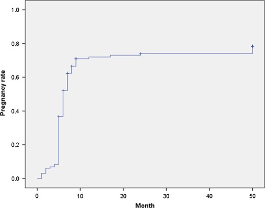 Time to pregnancy. Represents the rate of pregnancy for the cohort according to the time taken to achieve pregnancy in months following surgical management of IUA.