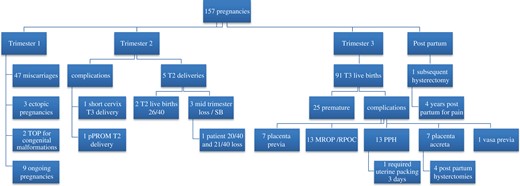 Pregnancy outcomes. Summary of the outcomes for the pregnancies that were reported in the cohort according to trimester that these occurred. T1 = first trimester; T2 = second trimester; T3 = third trimester; TOP = termination of pregnancy; SB = stillbirth; PPH = postpartum haemorrhage; MROP = manual removal of placenta; RPOC = retained products of conception.
