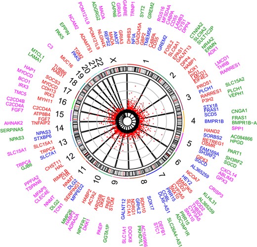 Differentially expressed genes (DEGs) between early secretory (ESE) and mid-secretory (MSE) endometrial samples. Scatterplot represents DEGs significant after deconvolution (Bonferroni P-value <2.79 × 10−6). Numbers represent chromosomes. The inner circle gene names contain top significant DEGs (red—up-regulated and blue—down-regulated in MSE, respectively), while the outer circle contains DEGs with the highest expression rate fold change between ESE and MSE (pink—up-regulated and green—down-regulated in MSE, respectively).