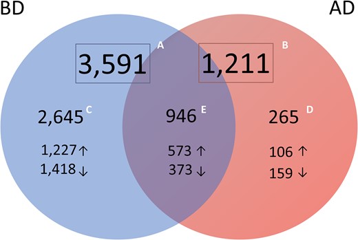 Numbers of significantly differentially expressed transcripts identified from meta-analysis of transcriptomic profiles of endometrial tissue samples from different groups. A. Transcripts identified in whole endometrial tissue (before deconvolution, BD; n = 3591). B. Transcripts identified in cellular heterogeneity-adjusted expression profiles (after deconvolution, AD; n = 1211). C. Transcripts significant only in whole-tissue transcriptome and non-significant after deconvolution (blue, n = 2645) were considered genes whose expression change in whole-tissue may be derived from variation in cell types’ proportions. D. Differentially expressed transcripts significant only after tissue deconvolution (pink, n = 265) were considered genes whose expression change may be eclipsed in mid-secretory endometrium due to fluctuations in cell-type proportions, leading to underestimation of molecular processes and pathways involved in endometrial maturation. E. Transcripts significant in both approaches (purple, n = 946) are considered potential WOI markers.