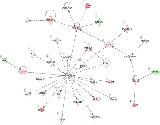 B—Network 2: Dermatological Diseases and Conditions, Organismal Injury and Abnormalities, Cell-To-Cell Signaling and Interaction.
