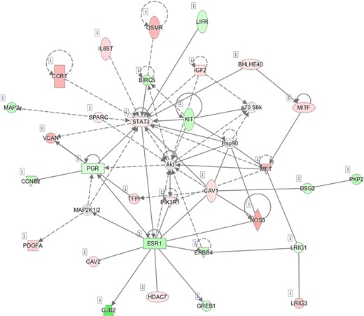 C—Network 3: Cellular Movement, Cellular Growth and Proliferation, Cancer.