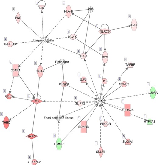 D—Network 4: Inflammatory Response, Organismal Injury and Abnormalities, Cell Death and Survival.