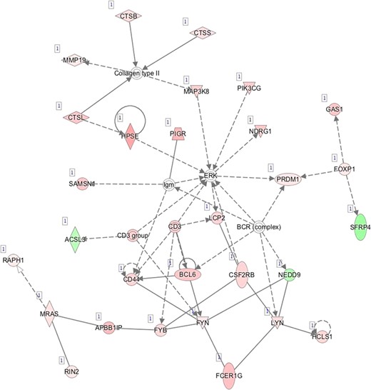 F—Network 6: Lymphoid Tissue Structure and Development, Tissue Morphology, Hematological System Development and Function.