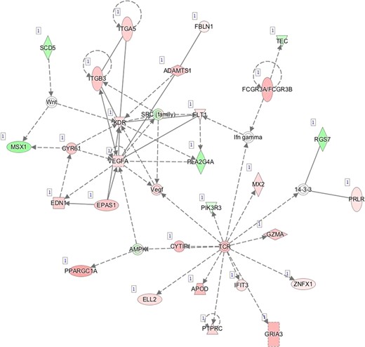 G—Network 7: Cardiovascular System Development and Function, Organismal Development, Visual System Development and Function.