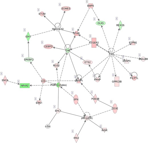 H—Network 8: Cellular Function and Maintenance, Cell Death and Survival, Organismal Survival.