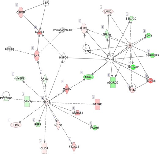 I—Network 9: Organ Morphology, Tissue Development, Cellular Development.