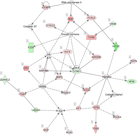 J—Network 10: Cardiovascular System Development and Function, Organismal Survival, Cellular Movement.
