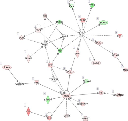 K—Network 11: Cardiovascular System Development and Function, Cellular Movement, Hair and Skin Development and Function.
