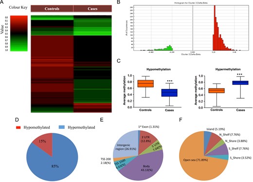 (A) Heat map of genome-wide DNA methylation. (B) Histogram showing the number of differentially-methylated CpGs (DMCs) across various β-values. (C) Box plot comparing mean β-values for hypermethylated and hypomethylated DMCs between cases and controls. (D) Percentage of DMCs showing hypermethylation and hypomethylation. (E) Distribution of DMCs on the basis of organization of gene transcript structure. (F) Distribution of DMCs on the basis of CpG island and neighborhood regions.