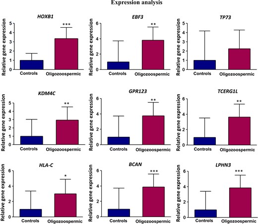 Expression analysis of selected genes. mRNA from sperm was converted into cDNA and subjected to analysis of transcript level by real time PCR.