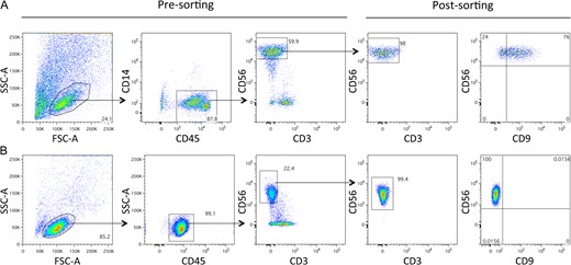 The phenotypic characterization of decidual and peripheral blood natural killer cells. (A) Decidual natural killer (dNK) cells were purified from decidual specimens from elective first-trimester pregnancy terminations and were analysed with 5-colour immunofluorescence and cell sorting. More than 98% of the resulting dNK cells were CD45+CD56+CD3−CD14−; the majority of dNK cells expressed CD9. (B) Peripheral blood mononuclear cells were purified and analysed with 4-colour immunofluorescence and cell sorting. More than 98% of the resulting peripheral blood NK (pbNK) cells were CD45+CD56+CD3−; pbNK cells were negative for CD9 expression. Percentages of total cells within gates are shown on the plots. Forward scatter (FSC) and side scatter (SSC).