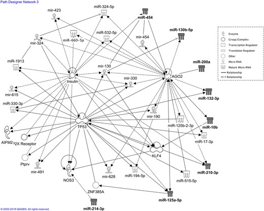Network analysis with IPA. The network involving miR-10b, miR-214, miR-200a-3p, miR-130b-3p, miR-125a-5p, miR-212-3p, miR-454, miR-210-3p and miR-132 is depicted, highlighting direct (continuous lines) and indirect (dashed lines) interactions between validated miRNAs (grey coloured symbols), other miRNAs (empty symbols) and proteins or protein group/complex. Apoptosis inducing factor mitochondria associated 2 (AIFM2); argonaute 2 (AGO2); Kruppel like factor 4 (KFL4); nitric oxide synthase 3 (NOX3); purinergic receptor P2X (P2XR); tumour protein p53 (TP53); zinc finger protein 385A (ZNF385A).