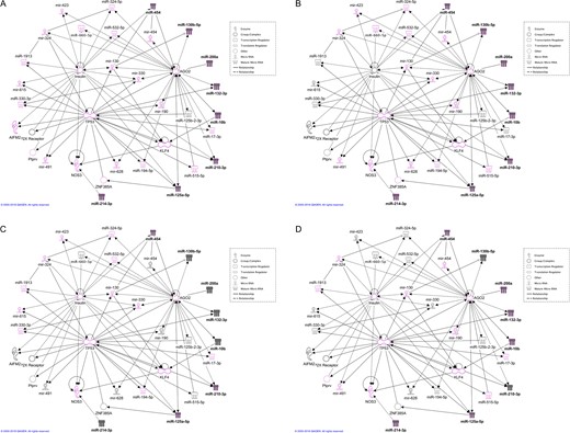 IPA of network functions. The network represented in Fig. 6 was analysed for functions related to reproduction, development and immune system. The most significant functions processed by the system are ‘Organismal injury and abnormalities’ (A), ‘Reproductive system disease’ (B), ‘Inflammatory response’ (C) and ‘Cellular development’ (D). All miRNAs and other molecules belonging to each function are represented with pink coloured borders. Validated miRNAs are filled with black colour.