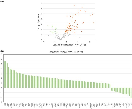 Differentially expressed genes in LH + 2 and LH + 7. (a) Volcano plot of gene expression differences for the 184 WOI genes on days LH + 2 and LH + 7 of fertile subjects menstrual cycles. The log2-fold change is plotted on the x-axis and the negative log10 P-value is plotted on the y-axis. Green dots represent gene probes with P-value < 0.05 by paired t-test and downregulated fold change (log2FC < −0.5). Orange dots represent gene probes with P-value < 0.05 by paired t-test and upregulated fold change (log2FC > 0.5). (b) Bar graph showing log2-fold changes of the 85 differentially expressed mRNAs (paired t-test, P < 0.05) in LH + 7 vs. LH + 2. There were 71 upregulated mRNAs and 14 downregulated mRNAs in LH + 7 compared to LH + 2.