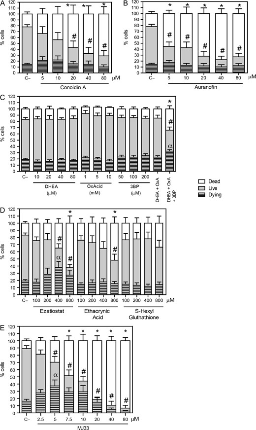 Inhibition of different players in the PRDXs decreases viability and promotes cytotoxicity. Spermatozoa were incubated in BWW medium at 37°C for 2 h with different concentrations of (A) conoidin A (2-Cys PRDXs inhibitor); (B) auranofin (TRD inhibitor); (C) DHEA, oxalomalic acid or 3 bromopyruvate (inhibitors of G6PDH, NADP-ICDH, or malic enzyme); (D) ezatiostat, ethacryinic acid and S-hexylglutathione (inhibitors of the reactivation system of the PRDX6 peroxidase activity) or (E) MJ33 (inhibitor for the PRDX6 Ca2+-iPLA2 activity). After inhibitors were washed out, spermatozoa were labeled with 2 μM Calcein-AM and 0.2 μM Sytox Blue to assess the percentages of live, dead and dying cells by MACSQuant Analyzer flow cytometry. Results are presented as the mean ± SEM of five to nine measurements performed with sperm samples from different donors. An *, # or α indicate a value significantly (P ≤ 0.05) lower than the control without inhibitors (C−) in the dead, live or dying sperm populations, respectively (ANOVA and Bonferroni post hoc test).