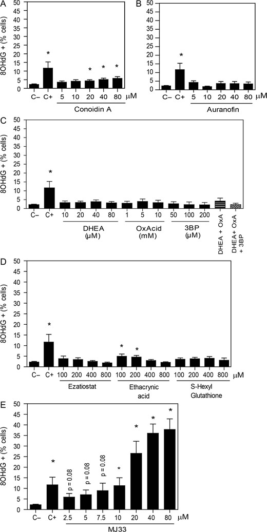 DNA damage is increased by the inhibition of the Ca2+-iPLA2 activity of PRDX6. After 2 h of incubation with different concentrations of the inhibitors of (A) the 2-Cys PRDXs, (B) the TRX/TRD system, (C) the NADPH-suppliers’ enzymes, (D) the reactivation system of the PRDX6 peroxidase activity or (E) the Ca2+-iPLA2 activity of PRDX6, spermatozoa were fixed, permeabilized and incubated with anti-8OHdG antibody overnight. The positive control (C+) was provided by incubating spermatozoa with 4 mM H2O2 under the same conditions. The percentage of labeled cells was analyzed by MACSQuant Analyzer flow cytometry and results are presented as the mean ± SEM of seven measurements performed with sperm samples from different donors. *A value significantly (P ≤ 0.05) different from the control without inhibitors (C−) (ANOVA and Bonferroni post hoc test).