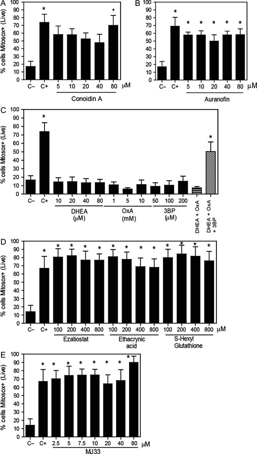 Mitochondrial superoxide production levels are increased by the inhibition of PRDX6. After 2 h of incubation with different concentrations of the inhibitors of (A) the 2-Cys PRDXs, (B) the TRX/TRD system, (C) the NADPH-suppliers enzymes, (D) the reactivation system of the PRDX6 peroxidase activity or (E) the PRDX6 Ca2+-iPLA2 activity, spermatozoa were washed and incubated with 2 μM MitoSOX-RED and Calcein-AM. The positive control (C+) was provided by incubating spermatozoa with 40 μM antimycin A under the same conditions. The percentages of live cells producing superoxide were analyzed by MACSQuant Analyzer flow cytometry. Results are presented as the mean ± SEM of five to eight measurements performed with sperm samples from different donors. *A value significantly (P ≤ 0.05) different from the control without inhibitors (C−) (ANOVA and Bonferroni post hoc test).