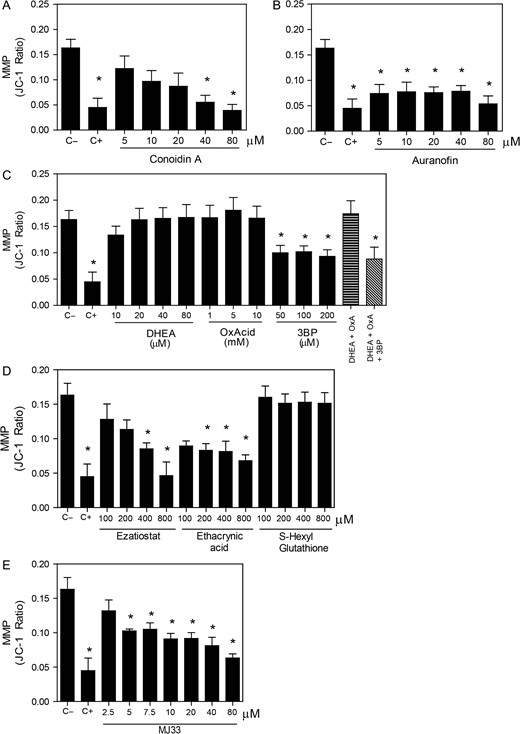 Mitochondrial membrane potential is impaired by the inhibition of the PRDX6. After 2 h of incubation with different concentrations of the inhibitors of (A) the 2-Cys PRDXs, (B) the TRX/TRD system, (C) the NADPH-suppliers enzymes, (D) the reactivation system of the PRDX6 peroxidase activity or (E) the Ca2+-iPLA2 activity of PRDX6, spermatozoa were washed and incubated with 2 μM JC-1 and 0.2 μM Sytox Blue. The positive control (C+) was provided by incubating spermatozoa with 40 μM of Antimycin A under the same conditions. Only live cells were analyzed, and data is express as the ratio in red/green fluorescence intensity indicating depolarization when this ratio is decreased. Results are presented as the mean ± SEM of five measurements performed with sperm samples from different donors. *A value significantly (P ≤ 0.05) different from the control without inhibitors (C−) (ANOVA and Bonferroni post hoc test).
