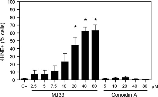 Endogenous 4HNE production is highly increased when the inhibition of PRDX6 Ca2+-iPLA2 activity. After 2 h of incubation with different concentrations of MJ33 or conoidin A, inhibitors of the Ca2+-iPLA2 activity of PRDX6 and the 2-Cys PRDXs, respectively, spermatozoa were fixed, permeabilized and incubated with anti-4HNE antibody overnight. The percentage of labeled cells were analyzed by MACSQuant Analyzer flow cytometry and results are presented as the mean ± SEM of four measurements performed with sperm samples from different donors. *A value significantly (P ≤ 0.05) different from the control without inhibitors (C−) (ANOVA and Bonferroni post hoc test).