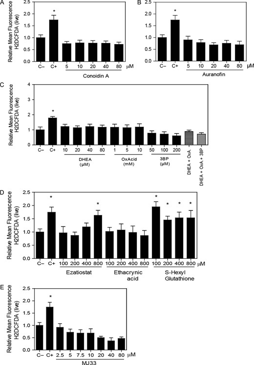 Inhibition of the PRDX6 system increases ROS levels. Spermatozoa were incubated for 2 h with different concentrations of the inhibitors of (A) the 2-Cys PRDXs, (B) the TRX/TRD system, (C) the NADPH-suppliers enzymes, (D) the reactivation system of the PRDX6 peroxidase activity or (E) the Ca2+-iPLA2 activity of PRDX6, then washed and added 10 μM H2DCFDA for 30 min at 37°C. Control positive (C+) was done by incubating spermatozoa with 100 μM of ferrous perchlorate (II) and 1 mM of H2O2 under the same conditions. The mean fluorescence of label cells was analyzed by MACSQuant Analyzer flow cytometry and results are presented relative to control without inhibitors (C−) as the mean ± SEM of six measurements performed with sperm samples from different donors. *A value significantly (P ≤ 0.05) different from the control (C−) (ANOVA and Bonferroni post hoc test).