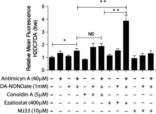 Peroxynitrite anion (ONOO−) is scavenged by the peroxidase activity of PRDX6. Spermatozoa were incubated for 2 h with the inhibitor of the 2-Cys PRDXs (5 μM conoidin A), or the GSTpi inhibitor (400 μM ezatiostat) or the Ca2+-iPLA2 activity of PRDX6 (10 μM MJ33) with or without the addition of 40 μM antimycin A or 1 mM DaNonoate. Then, the spermatozoa were washed and incubated with 10 μM H2DCFDA for 30 min at 37°C. The mean fluorescence of labeled cells was analyzed by MACSQuant Analyzer flow cytometry, and results are presented relative to control without inhibitors (C−) as the mean ± SEM of five measurements performed with sperm samples from different donors. *A P ≤ 0.05 value and **a P ≤ 0.01 value (ANOVA and Bonferroni post hoc test). NS: not significant.