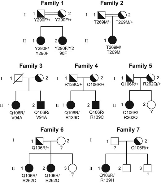 Pedigrees of the nine new women with normosmic congenital hypogonadotrophic hypogonadism carrying biallelic GNRHR mutations. GNRHR: GnRH receptor. Solid symbols indicate affected family members; semi-solid symbols indicate unaffected heterozygotes; open symbols indicate subjects with a normal genotype. Unknown genotypes are indicated by ‘?’. Circles indicate females and squares males. (see also Table I).
