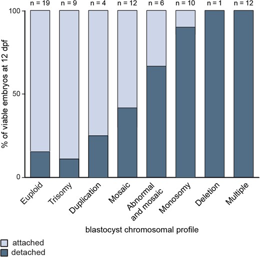 Blastocyst chromosomal profiles related to culture outcomes. Euploid blastocysts and those presenting with chromosomal gains and mosaicism were significantly more likely to remain viable 12 days post-fertilisation (dpf), compared to blastocysts with chromosomal losses or multiple aberrations.